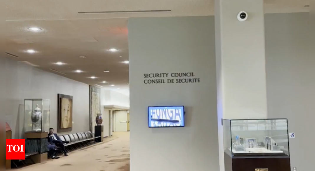 At UNSC huddle, Pakistan faces tough questions – The Times of India
