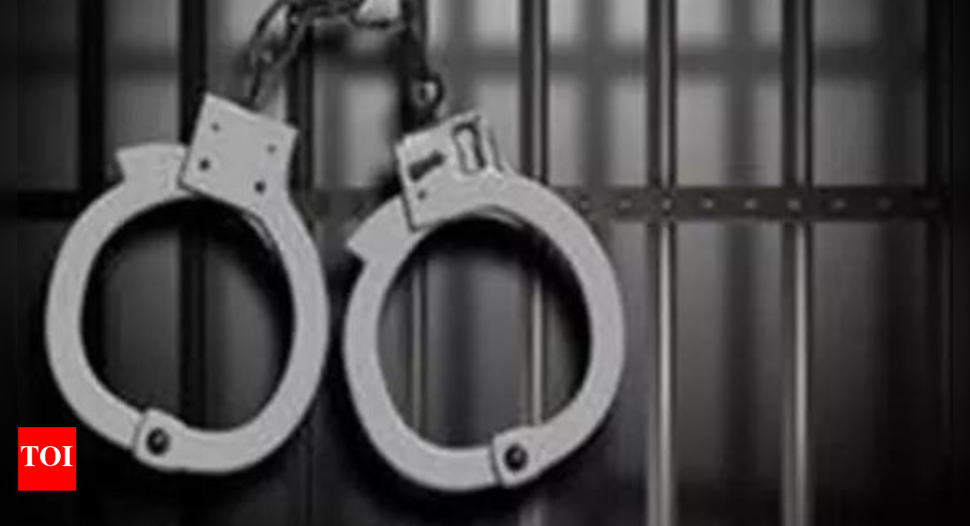 ‘No signs of hope’: French couple mark three years in Iranian jail – Times of India