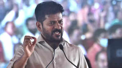 Telangana CM A Revanth Reddy puts police on high alert after review with defence officials post 'Operation Sindoor'
