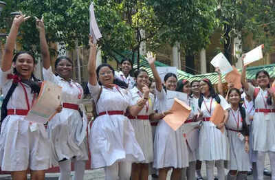 Tamil Nadu HSC +2 results 2025 out at tnresults.nic.in: Girls outperformed boys, Check complete details here