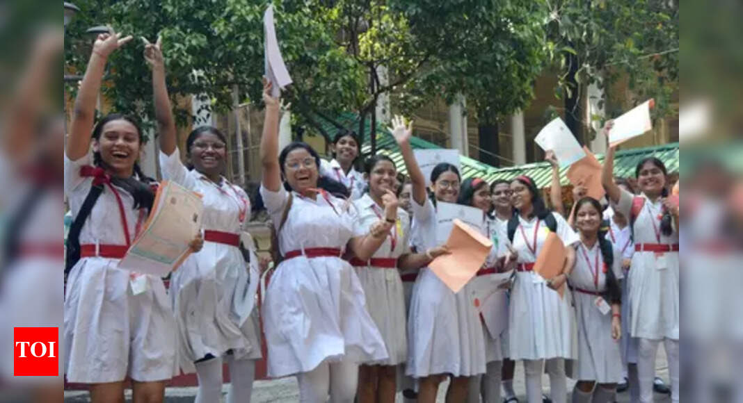 Tamil Nadu HSC +2 results 2025 out at tnresults.nic.in: Girls outperformed boys, Check complete details here - The Times of India