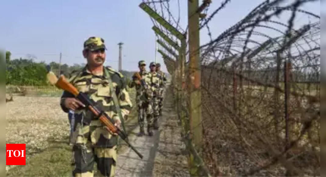 Pakistani intruder gunned down in Punjab's Ferozpur