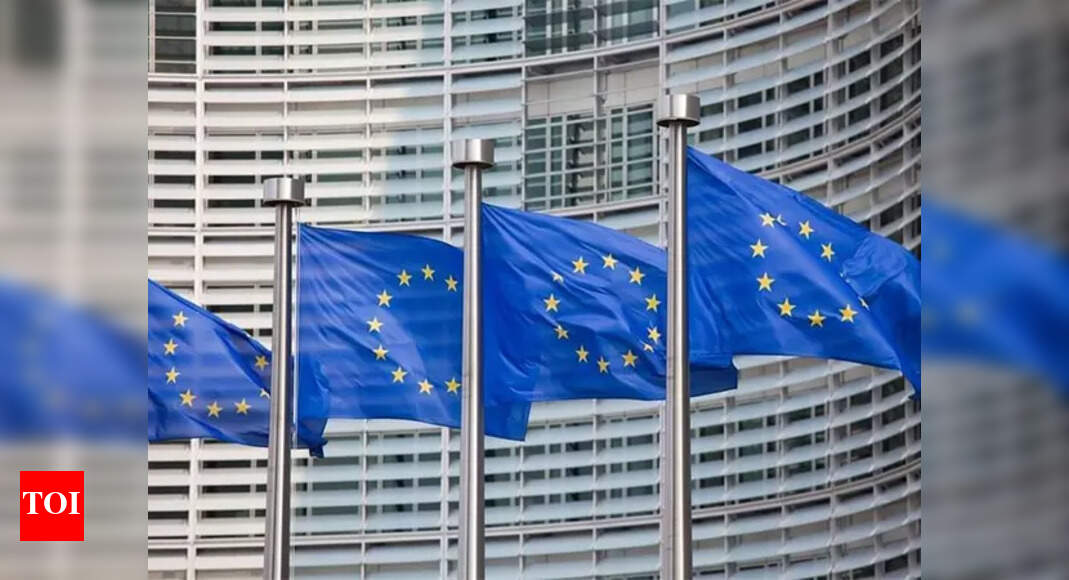 EU publishes US product hit list, prepares for WTO action against Trump's tariffs