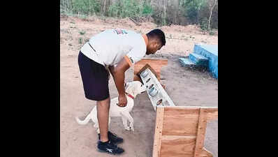 NDRF dogs being trained to sniff out dead from under debris