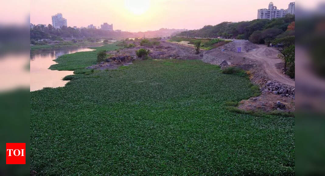 Irrigation dept urges civic bodies to exercise caution while carrying ...