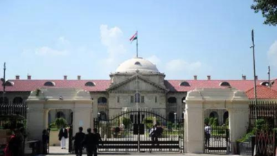 Pocso Act not meant to criminalise adolescents' consensual relations: Allahabad HC