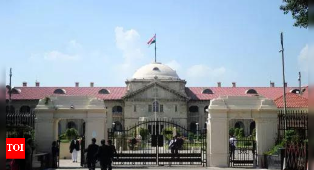 Pocso Act not meant to criminalise adolescents' consensual relations: Allahabad HC