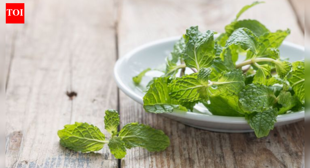 Pudina leaves for hair health: Benefits, how to use them, and more
