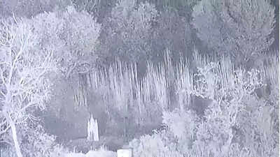  BSF foils infiltration bid by terrorists along Pakistan border