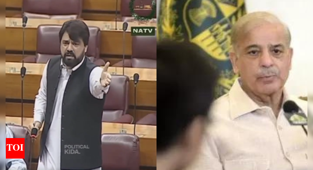'Buzdil' PM can't even take Modi's name: Pak MP slams Sharif in national assembly
