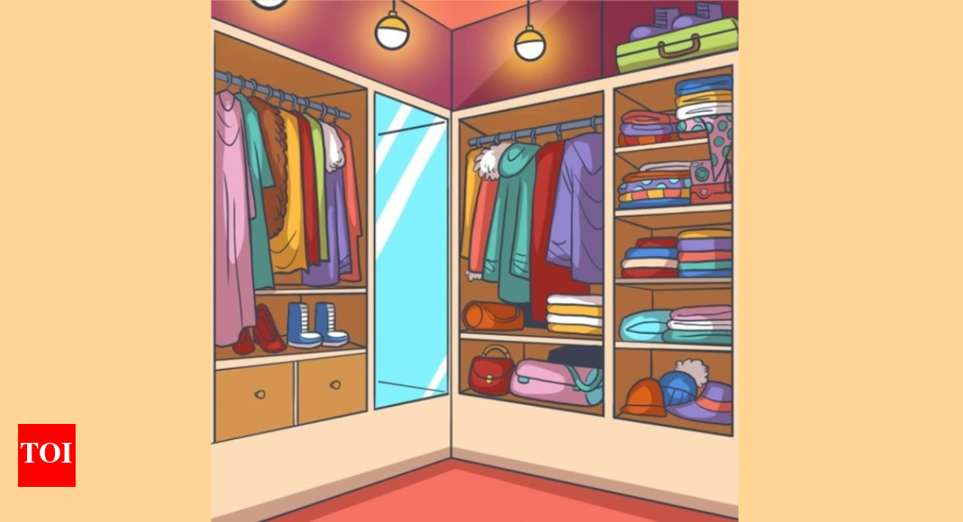 Optical Illusion: Only a visual ninja can spot a camera in this wardrobe
