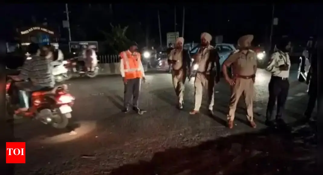 3 पाकिस्तानी ड्रोन के झटका के बाद फेरोसपुर में क्षतिग्रस्त | भारत समाचार