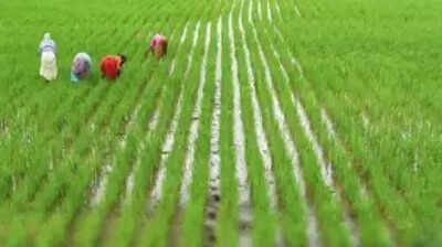 Telangana to make land sketch mandatory for agricultural property registrations