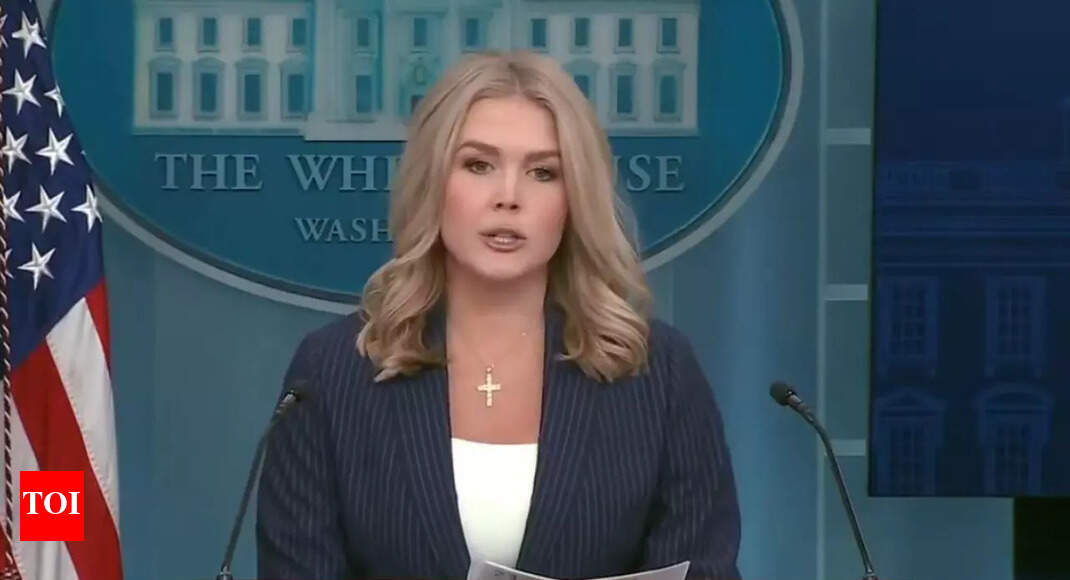 Watch: A question about Trump enrages White House spokesperson Karoline Leavitt. 'It's ridiculous' - Times of India