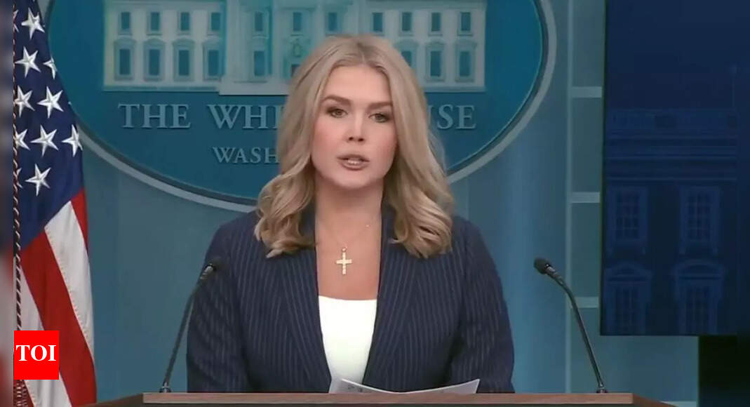 Watch: A question about Trump enrages White House spokesperson Karoline Leavitt. 'It's ridiculous'