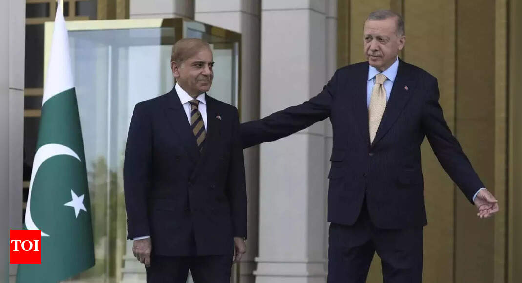 EaseMyTrip, Cox & Kings suspend travel to Azerbaijan & Turkey, 'join' 'boycott'