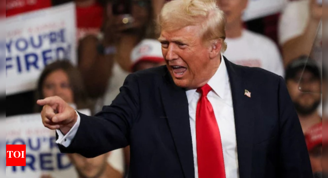 ‘Down the Tubes’: Trump rages against MSNBC over tariff criticism