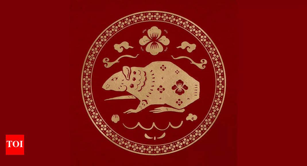 洋楽 g-rap Rat / Thinking deep g-rap Rat / Thinking deep（Rat Thinking deep G-RAP CD）
