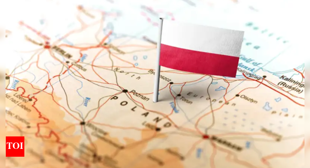 Polish nationalists stage anti-immigration demo ahead of polls