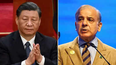 China vows to stand by Pakistan in defending its 'sovereignty, territorial integrity', calls it 'iron-clad friend'