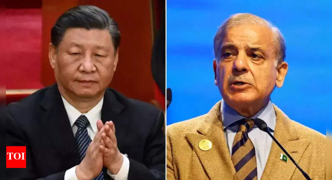 China vows to stand by Pakistan, calls it ‘iron-clad friend’