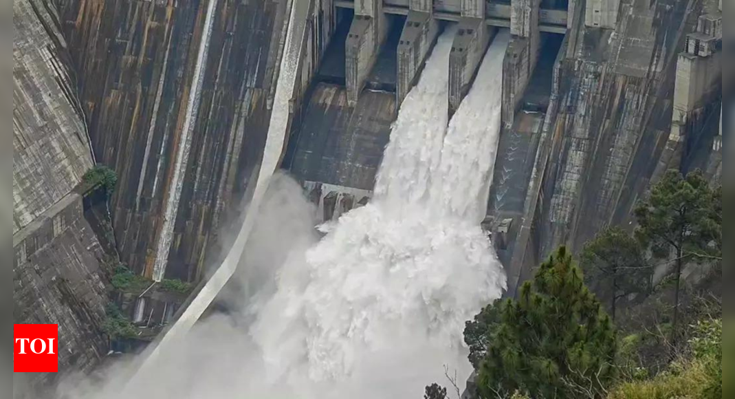Chenab swells as India throws open 2 gates of Baglihar dam