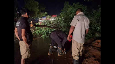 Rainstorm plunges Guwahati into darkness, uprooted trees obstruct efforts of restoration