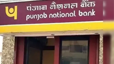 Representative image PNB banks on corp, retail loan flow to boost growth