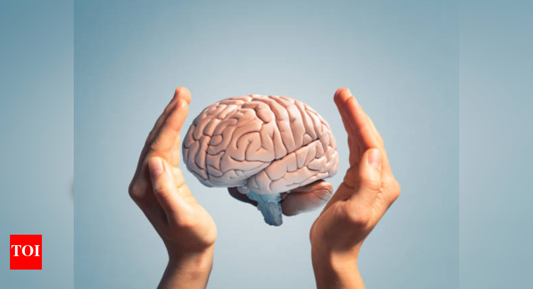 7 somatic hacks that work wonders on the brain and nervous system | 7 somatic hacks that work wonders on the brain and nervous system |