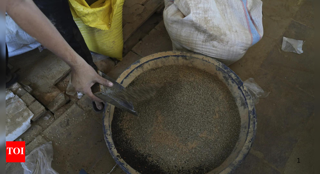 Food security experts warn Gaza is at critical risk of famine if Israel doesn't end its blockade