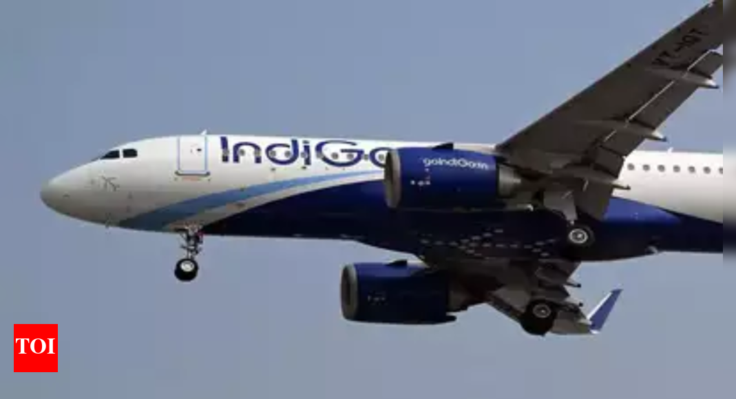 'Blackout' in Amritsar leads to first flight post airport reopening to return to Delhi