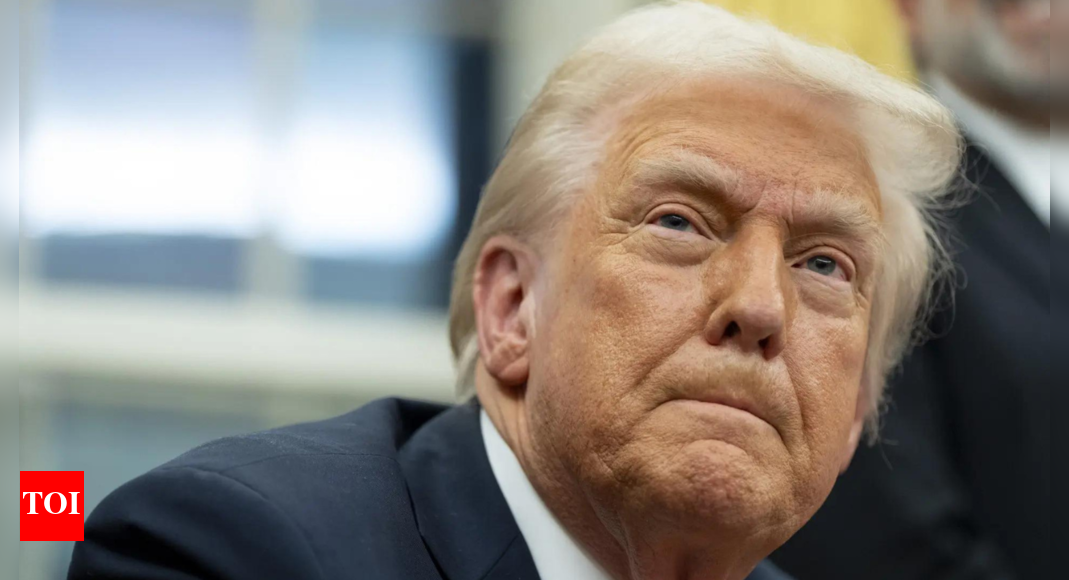 Wer ist Donald Trumps „brillantes, aber ernsthaft übergewichtiges“ Freund aus seiner viralen Geschichte? Warum jeder denkt, es ist Elon Musk