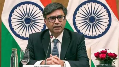 IAS, IPS, diplomats' bodies slam attack on Misri, his kin
