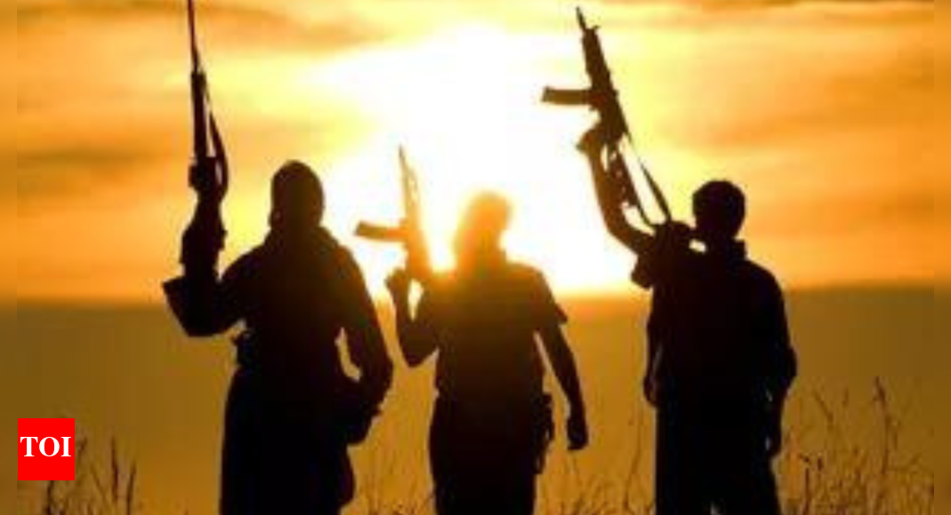 Carried out 71 hits against Pakistan in last few days: BLA
