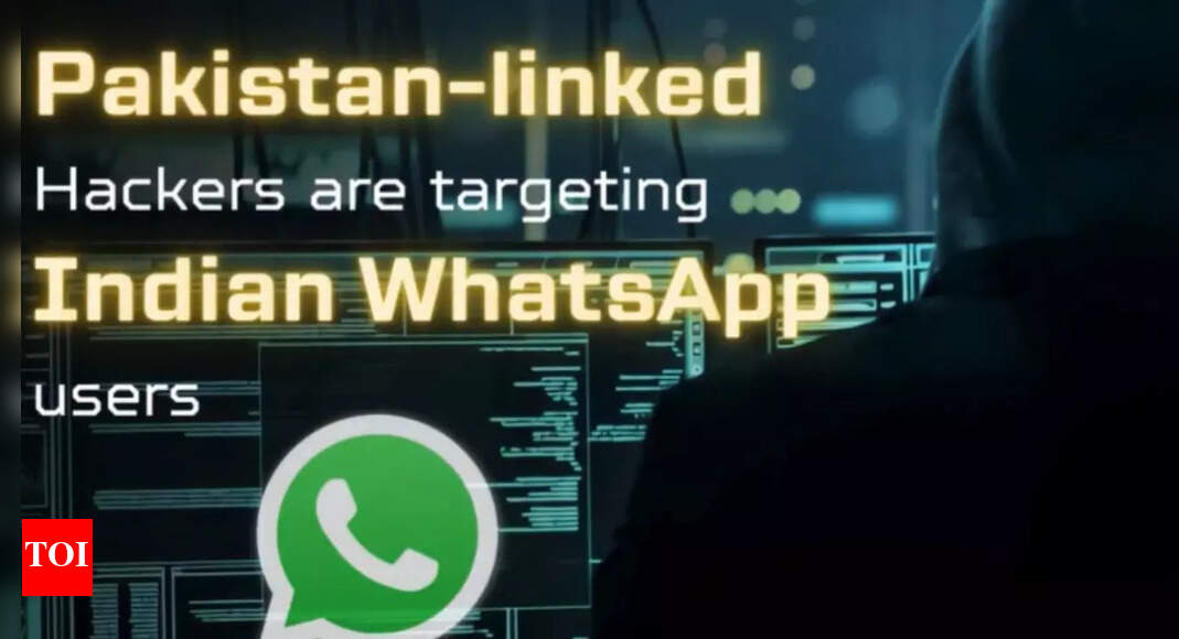 'Dance of the Hillary': Guard your data, cops warn of Pak virus onslaught