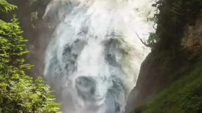 Photo: Marina_Neuralink / Instagram Optical illusion personality test: Water fall or bear? What you see first reveals if you are too friendly or too cautious