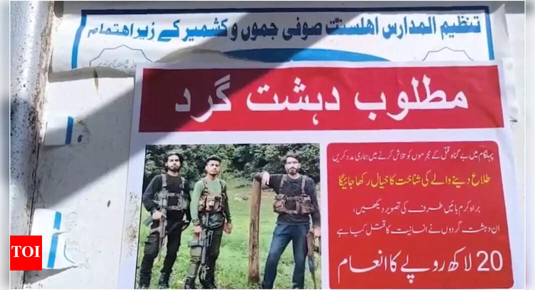 Posters of Pahalgam attack suspects surface; Rs 20 lakh bounty announced