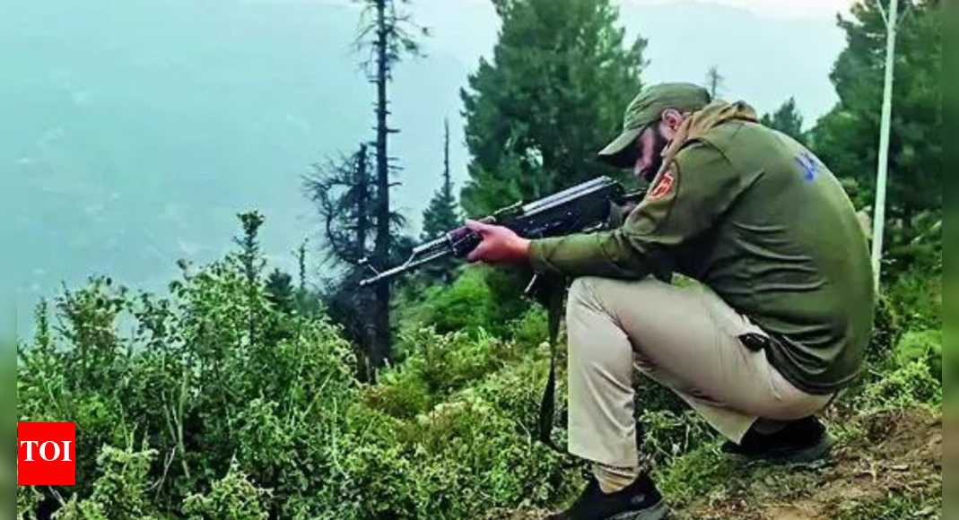 J & K Shopian में सुरक्षा बलों से मिलने के दौरान 3 लश्कर के आतंकवादी मारे गए थे भारत समाचार