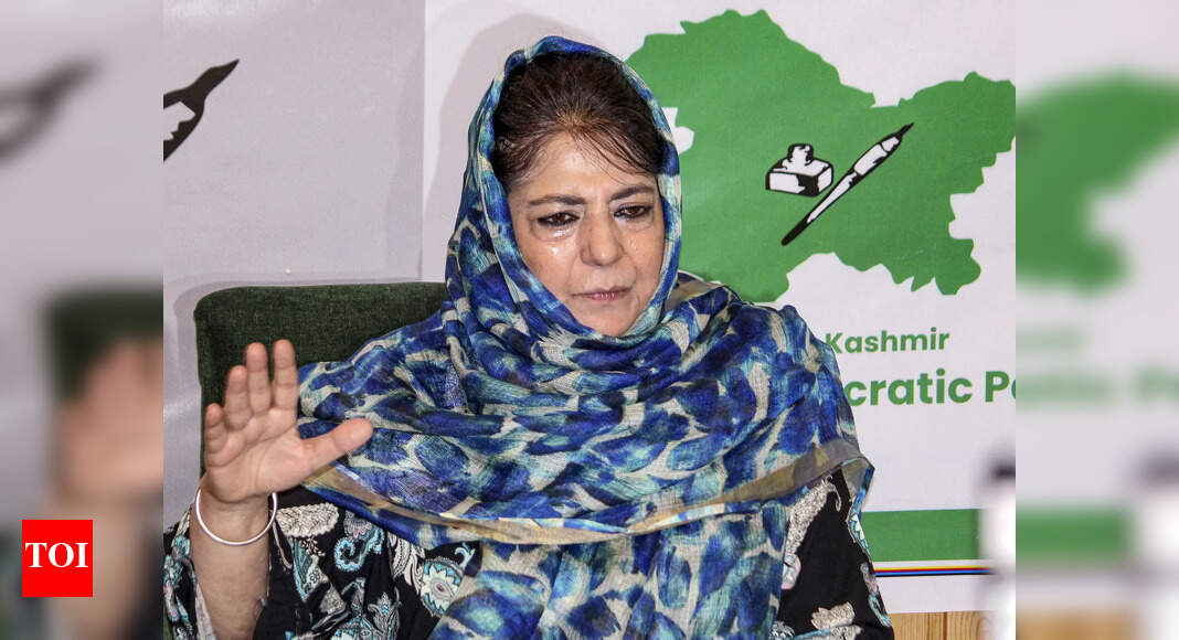 ‘Don’t politically penalise Modi govt for exploring peace’: Mufti 