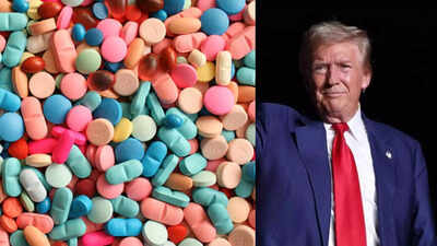 Did Donald Trump told 'Ozempic Santa Elon Musk': It is not working ... -  The Times of India