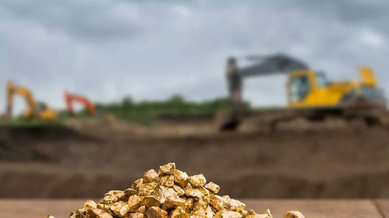 Michel Dupont: Farmer discovers gold worth €4 billion on his private land –  here's what happens next | - Times of India