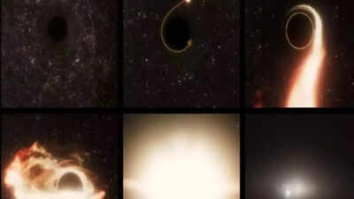 Is Earth in danger? NASA's alarming discovery of a star being consumed by a black hole spark concerns
