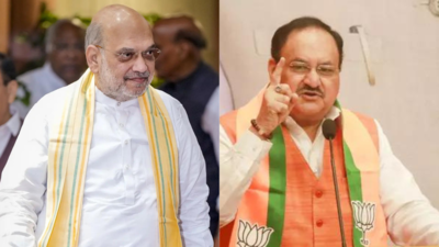Amit Shah, JP Nadda hail big BJP win in Assam panchayat polls