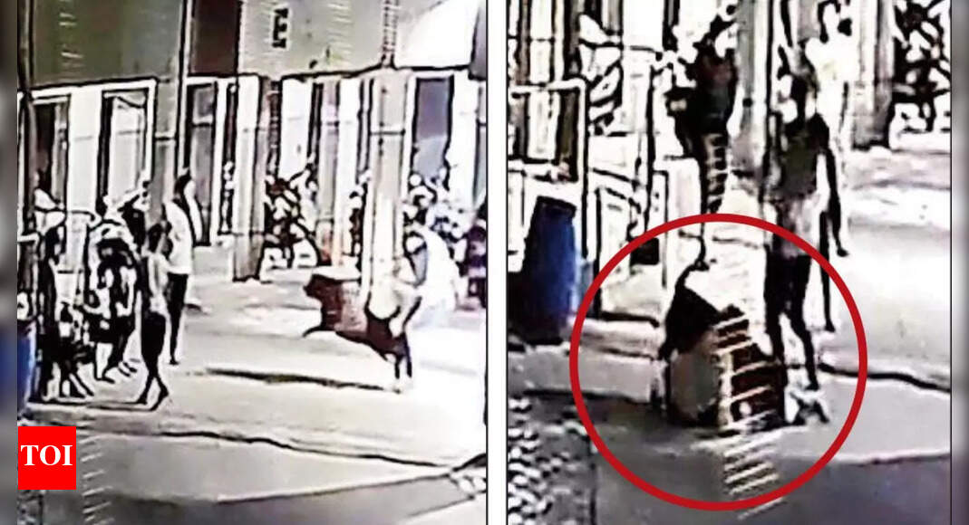 Horror unleashed: Pet rottweiler pulls 4-month-old from aunt’s arms ...