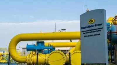 Image used for representative purposes GAIL gets offers from 5 US companies for stake in LNG projects