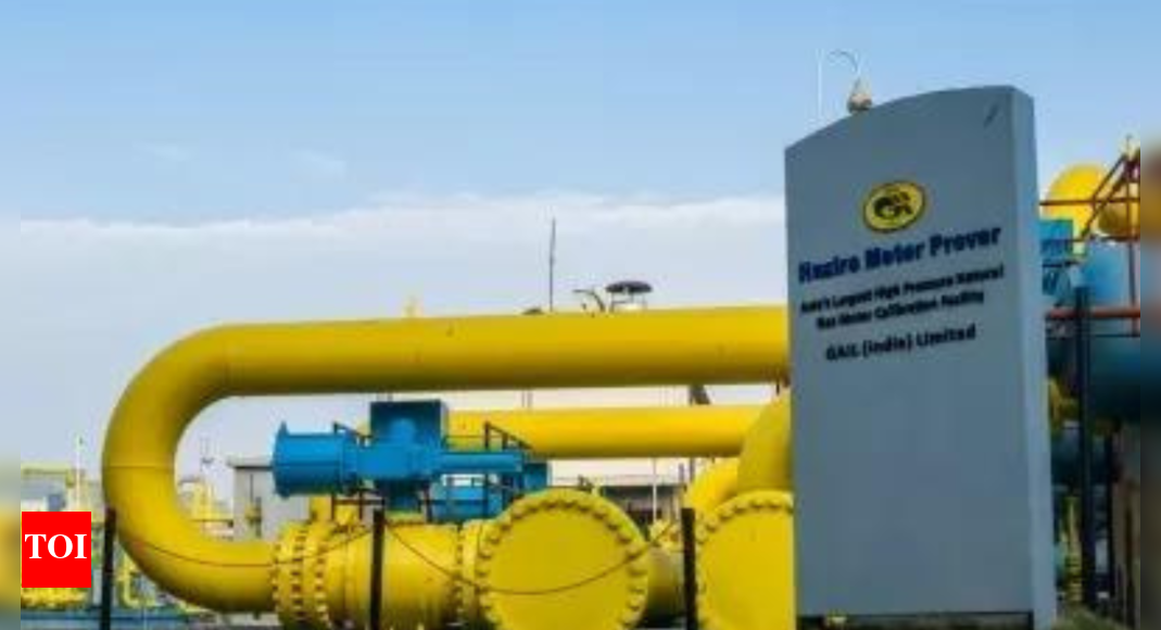 GAIL gets offers from 5 US companies for stake in LNG projects