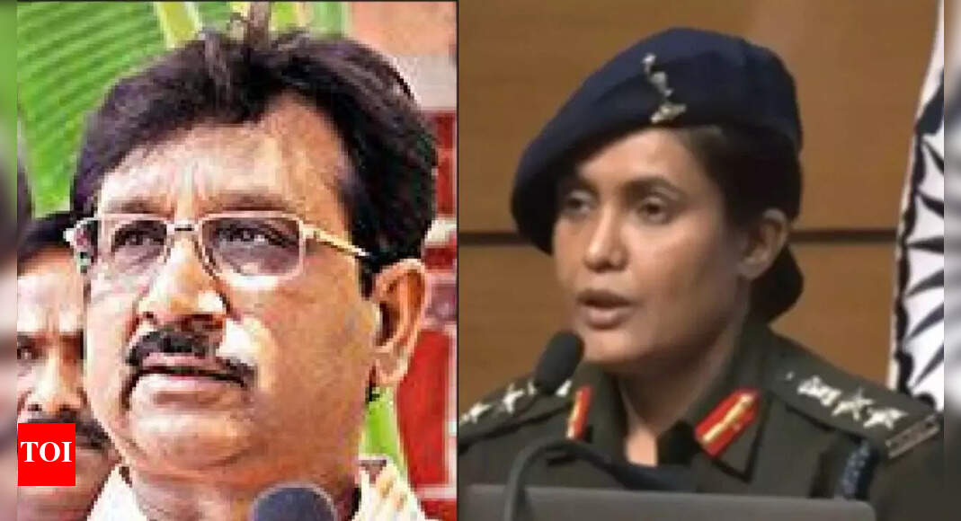 'Ready to apologise 10 times': BJP minister on remarks against Col Sofiya Qureshi