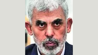  Conducted air strikes in Khan Younis to kill Yahya Sinwar's brother