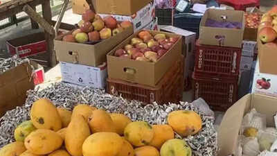 'Forgotten Operation Dost': Indian fruit traders boycott Turkish goods over support to Pakistan