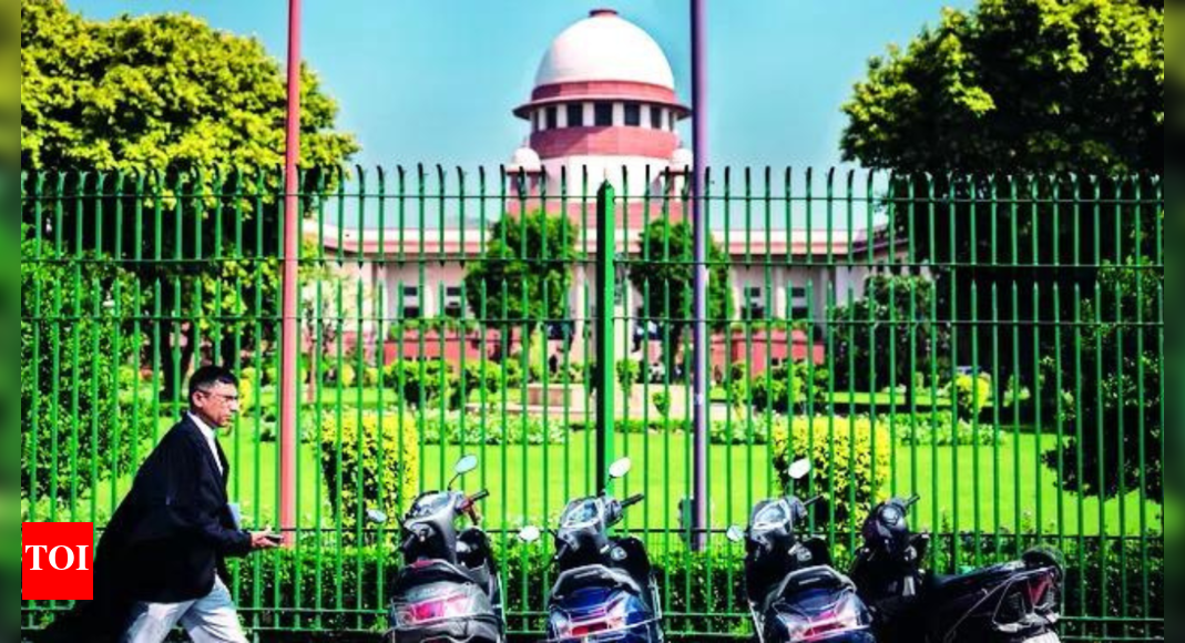 “संयम को पूरा करना आवश्यक है”: कर्नल सोफिया कुरैशी पर “गैर -जिम्मेदार” टिप्पणियों के लिए डिप्टी एससी क्लैम के मंत्री | भारत समाचार